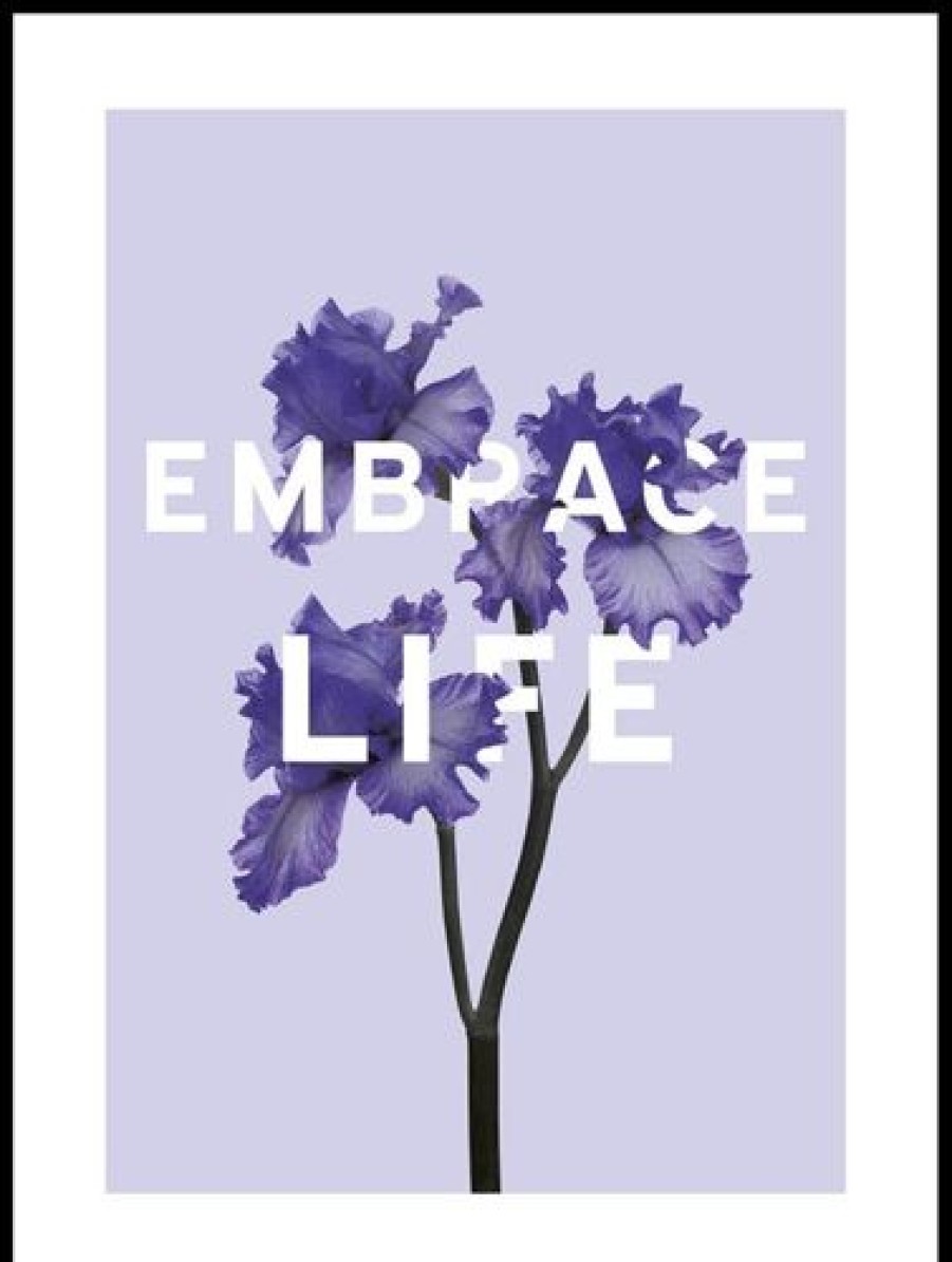 Posterton Embrace Life Poster | Nyheter