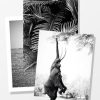 Posterton Soft Nature | Posterpaket