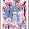 Posterton K Rsb Rsblommor I Tokyo Poster | Topplistan Affischer