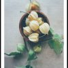 Posterton Physalis P Fat Poster | Posters K K