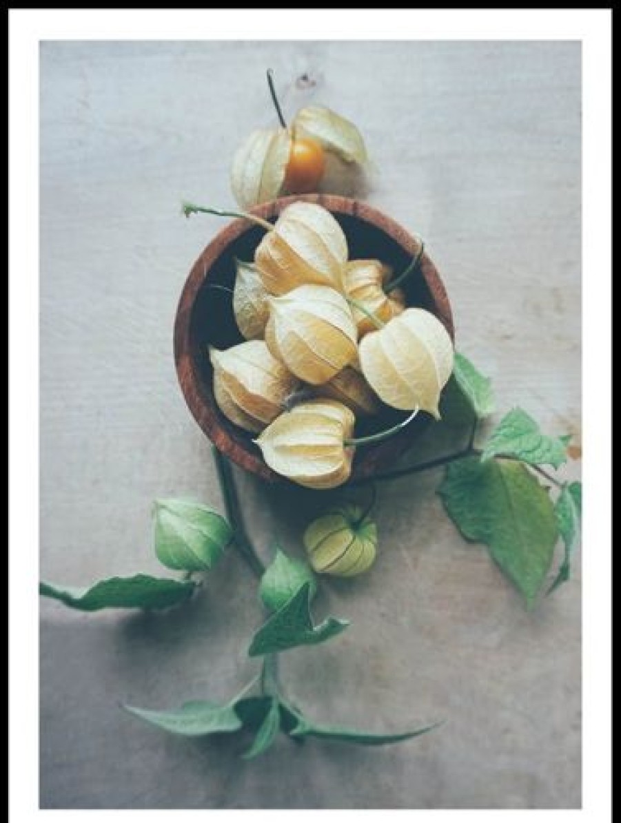 Posterton Physalis P Fat Poster | Posters K K