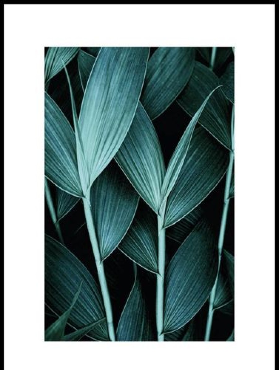 Posterton Exotiska Blad Poster | Blommor Posters