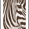 Posterton Zebra I Beige Poster | Nyheter