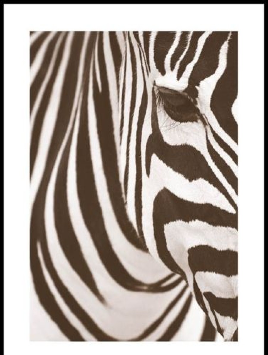 Posterton Zebra I Beige Poster | Nyheter