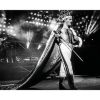 Posterton Freddie Mercury Poster | Topplistan Affischer