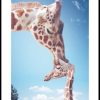 Posterton Giraffpuss Poster | Djur Posters