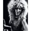 Posterton Tina Turner No.3 Poster | Musik Posters