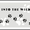 Posterton Into The Wild Poster | Nyheter