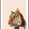 Posterton Tiger I Profil Poster | Djur Posters