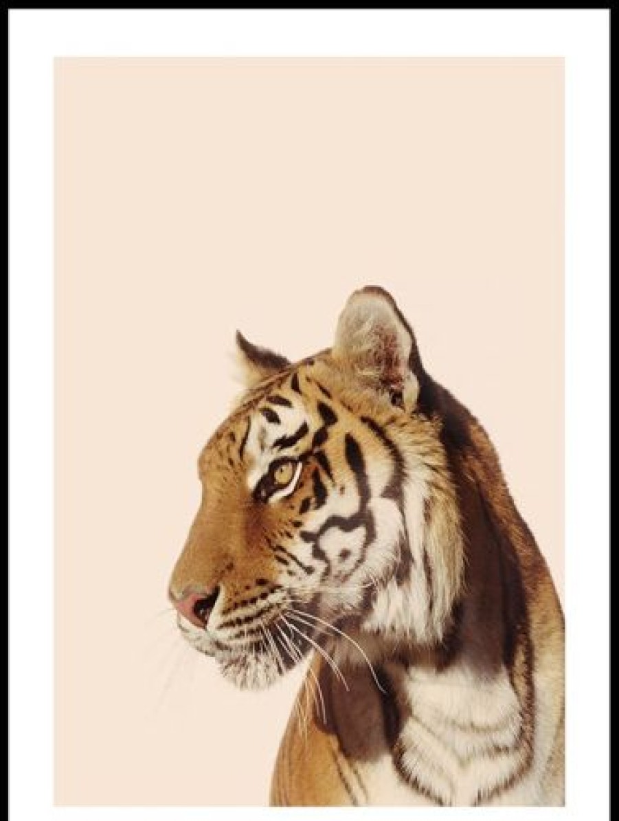 Posterton Tiger I Profil Poster | Djur Posters