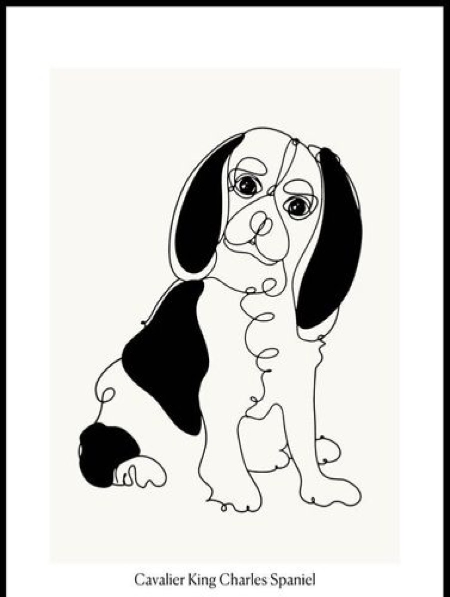 Posterton Cavalier King Charles Spaniel Poster | Nyheter