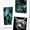 Posterton Jungle Dream | Posterpaket