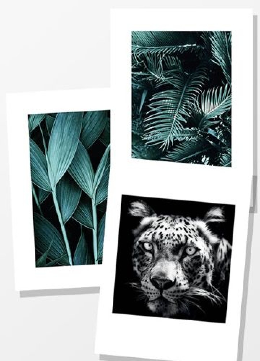 Posterton Jungle Dream | Posterpaket