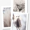 Posterton Fields | Posterpaket