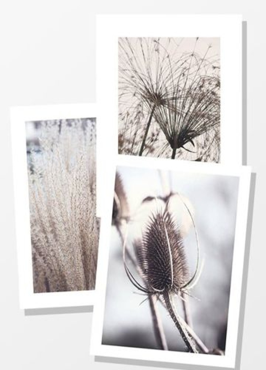 Posterton Fields | Posterpaket