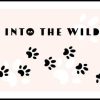 Posterton Into The Wild Pink Poster | Nyheter