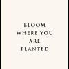 Posterton Bloom Where You Are Planted Poster | Nyheter