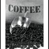 Posterton Coffee Poster | Nyheter