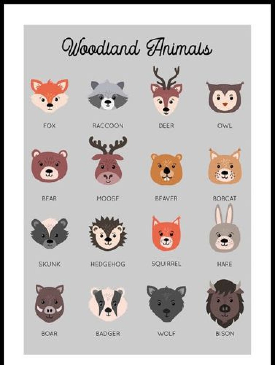 Posterton Woodland Animals Poster | Nyheter