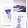 Posterton Purple Dawn | Posterpaket