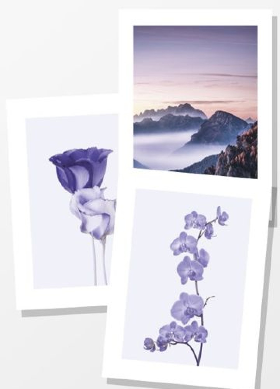 Posterton Purple Dawn | Posterpaket