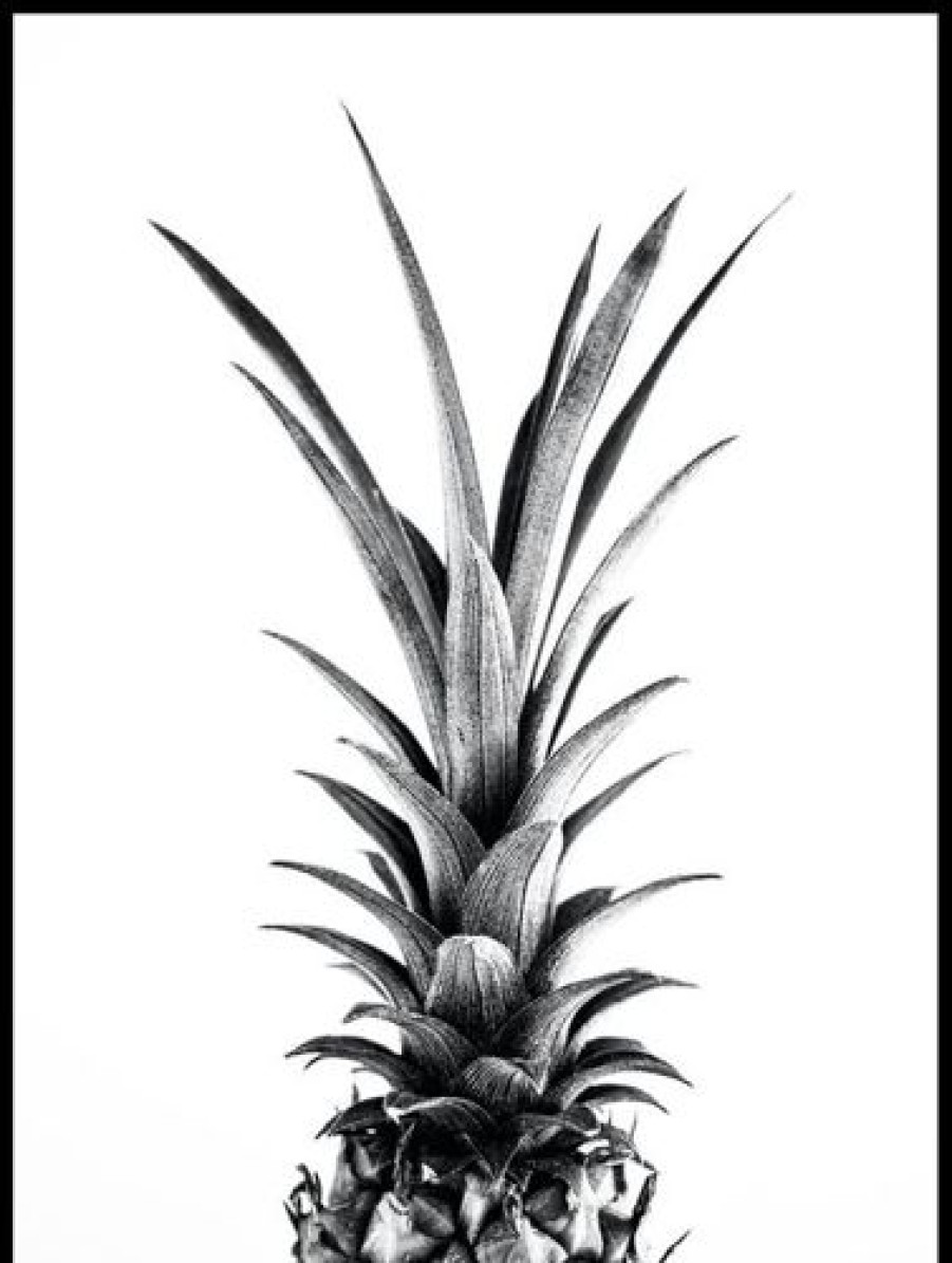 Posterton Ananas Blad Poster | Topplistan Affischer